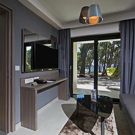 호텔 Park Plaza Arena 풀라