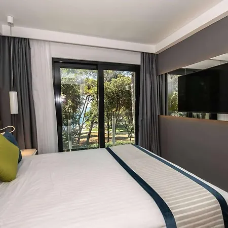 Park Plaza Arena 3* Pula