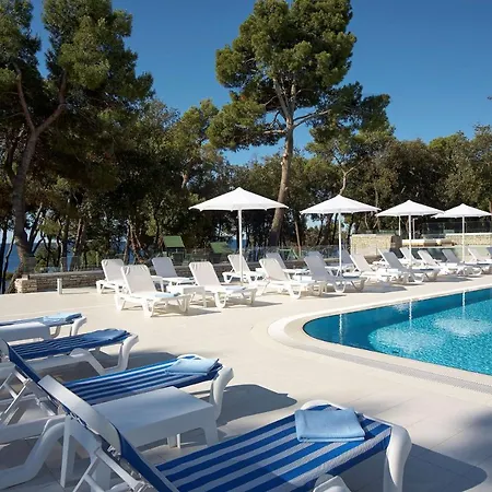 호텔 Park Plaza Arena 풀라