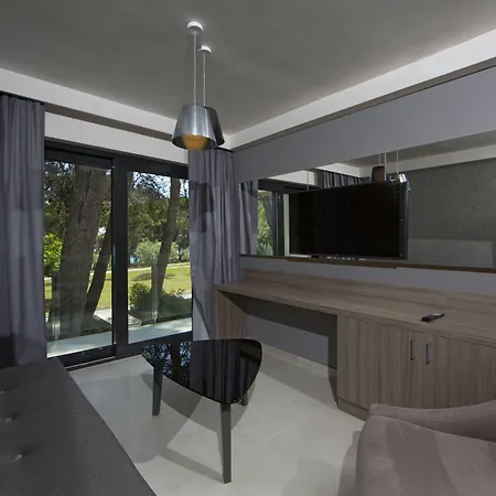 호텔 Park Plaza Arena 풀라