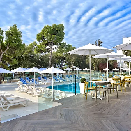 Park Plaza Arena 풀라