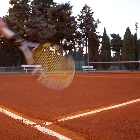 Park Plaza Arena Szálloda Póla